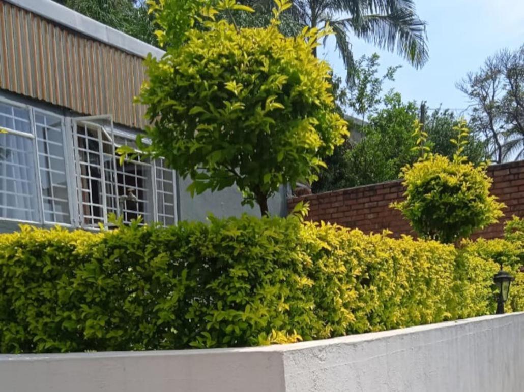 Kaste Guesthouse Tzaneen Eksteriør billede
